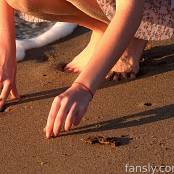 Cinderella Story Wild Kitty My Sunny Morning Set 001 831282823678668800