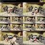 Gals Of Gurk 1737889790.3rd members only video learning yoga and doing challenges Video 121025.mp4