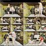 Gals Of Gurk Finale for February members 4 of 4 Video 121025.mp4
