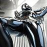 ReflectiveDesire 049