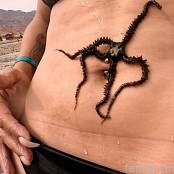 Cinderella Story Cinderella Sea Explorers Set 002 006