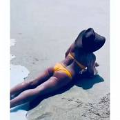 Britney Spears 2026 01 21  2013783136673427944 GSTodgAbu8q VB3D Video.mp4 snapshot 00.00.273