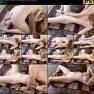 Morgpie Roommate caught me masturbating on our computer desk fucks my throat Morgpie 1080p Video 010626.mp4