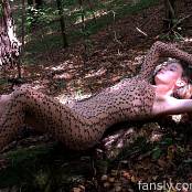 Cinderella Story Wild Kitty Wild Nature Picture Set & HD Video 002
