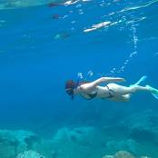 Girls Hunters of Beauty Dive 001 Video 140626.mp4 snapshot 01.15.580