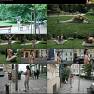 BralessForever Alissa Park.Exercise.1440p Video 040726.mp4