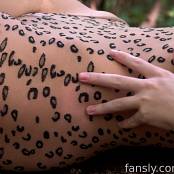 Cinderella Story Wild Kitty Wild Nature Picture Set & Video 003