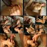 Gangbang Auditions 06 Xtras Cumshots QTGMC Video 040926.mkv