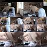 Tina Kay DownBlouseLoving 25 Video 100926.wmv