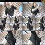 Tina Kay DownBlouseLoving 8 Video 100926.wmv