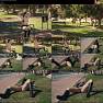 Ivy Rouge Ivyflash Mini Skirt In The Park Caught Video 230926.mp4