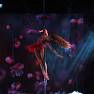 Pole Dance 0683 Exotic Revolution 2024. White Nights Exotic Professional Olga Uniskova Video 230926.mp4 snapshot 02.09.620